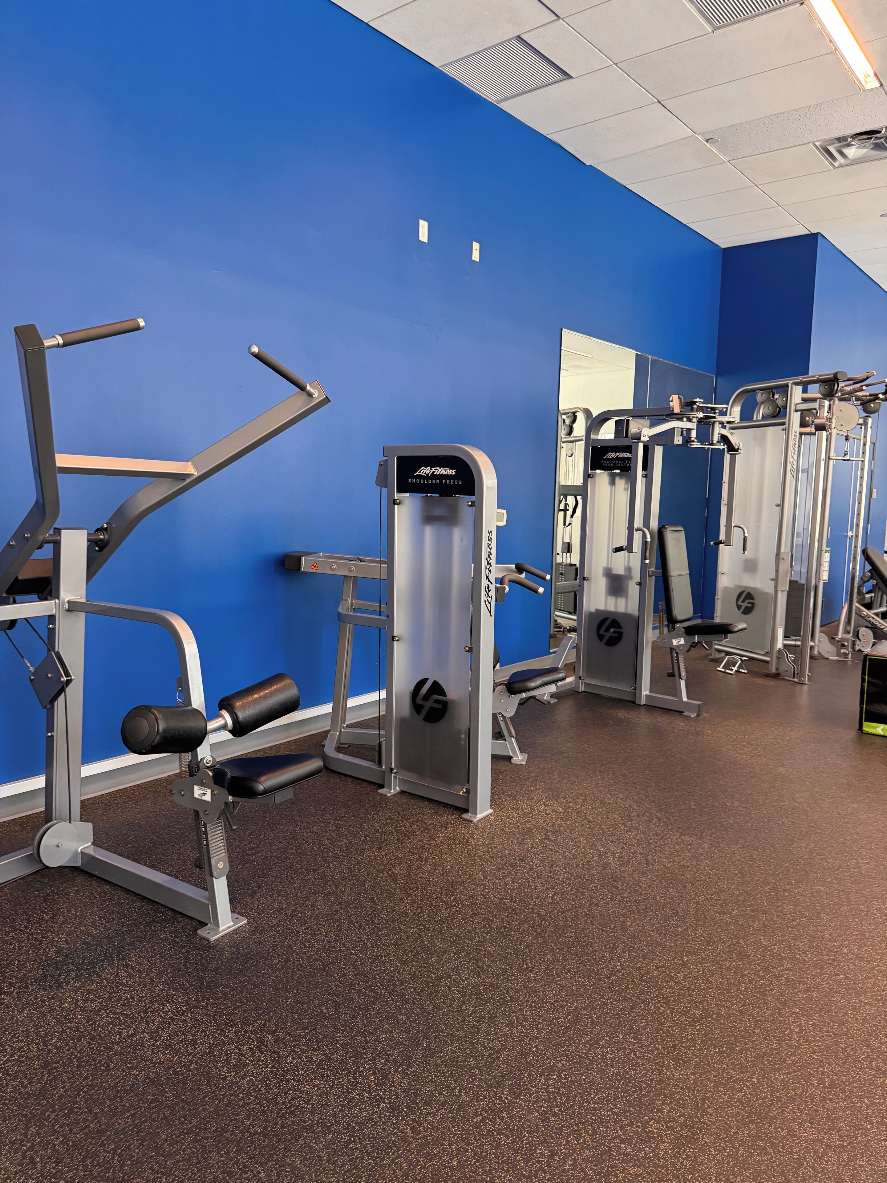 A gym with various exercise machines, a blue wall, and a speckled floor.