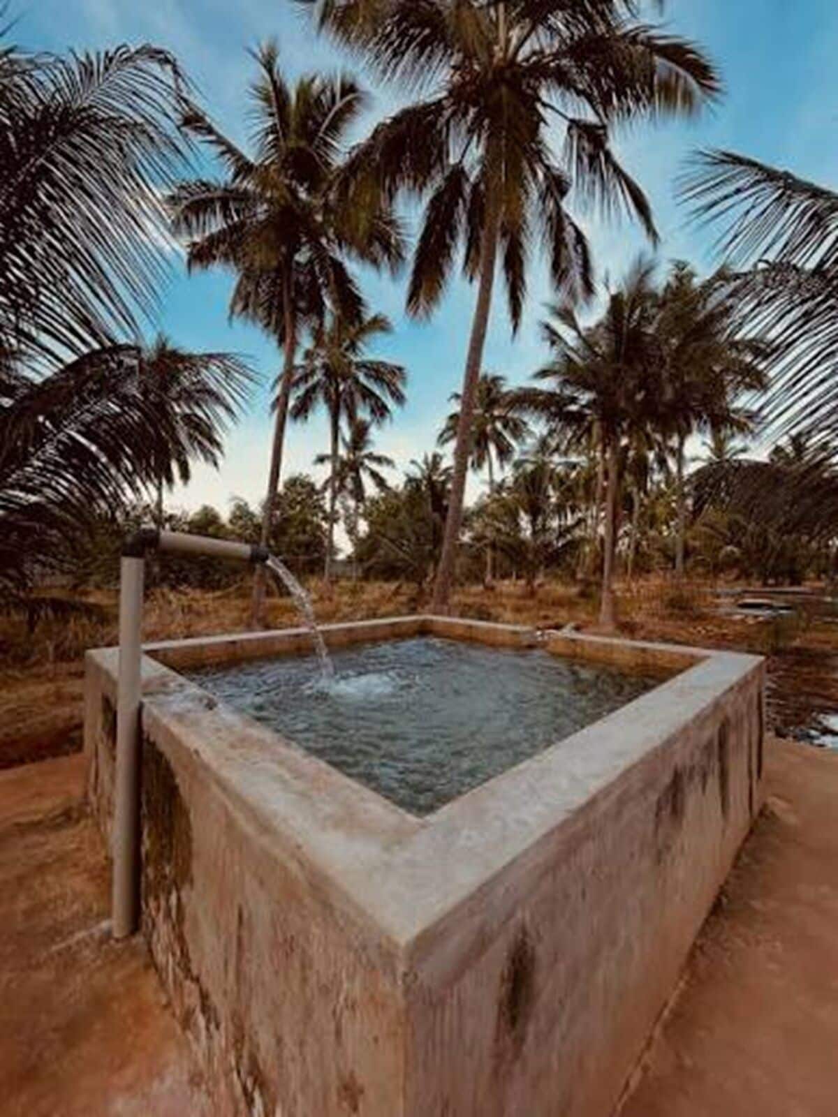 Una piscina de concreto cuadrada con agua fluyendo, rodeada de palmeras.