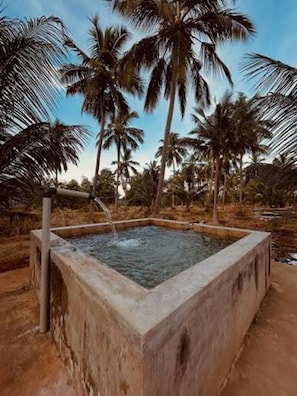 A square concrete pool with water flowing into it, surrounded by palm trees. - Paisa Farm Stay (Pudunagar)
