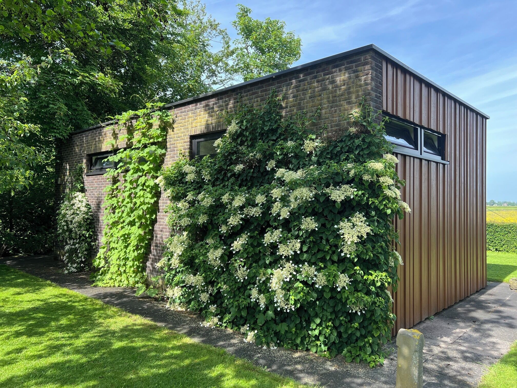 Een bakstenen gebouw met klimop en witte bloemen, een geplaveid pad en een gazon.