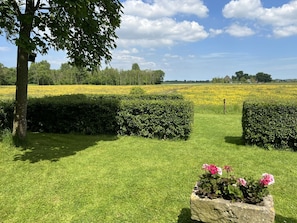 Ein gepflegter Rasen mit ordentlich geschnittenen Hecken und einem Blumenbeet mit rosa Blüten.