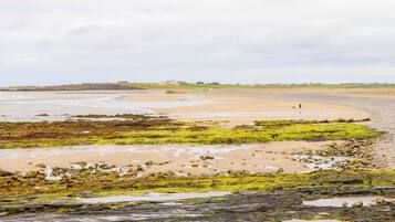 Un paisaje costero con una playa arenosa, costa rocosa y vegetación verde.