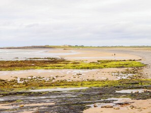 A coastal landscape with a sandy beach, rocky shore, and green vegetation.