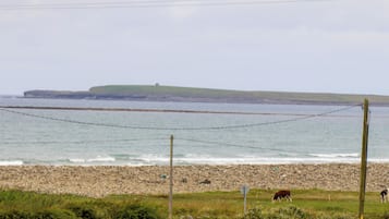 Un paysage côtier avec une plage rocheuse, une zone herbeuse et une vue sur la mer.