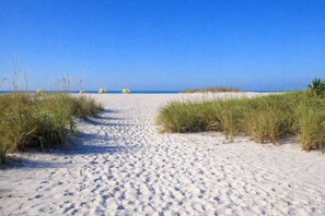 En sti af sand der fører ned til havet, med græsklitter på hver side.