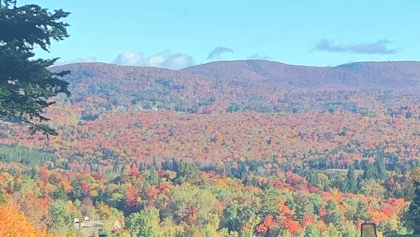 A view of a green field with a mountain range in the background. - Warm and inviting condo 5 mins to Mt Snow-Dog friendly, 2 fireplaces, Great wifi (Wilmington)