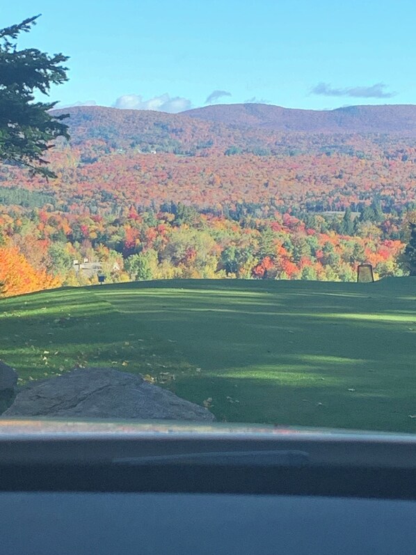 A view of a green field with a mountain range in the background. - Warm and inviting condo 5 mins to Mt Snow-Dog friendly, 2 fireplaces, Great wifi (Wilmington)