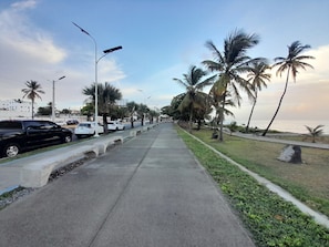 En strandpromenad som kantas av palmer och parkerade bilar.