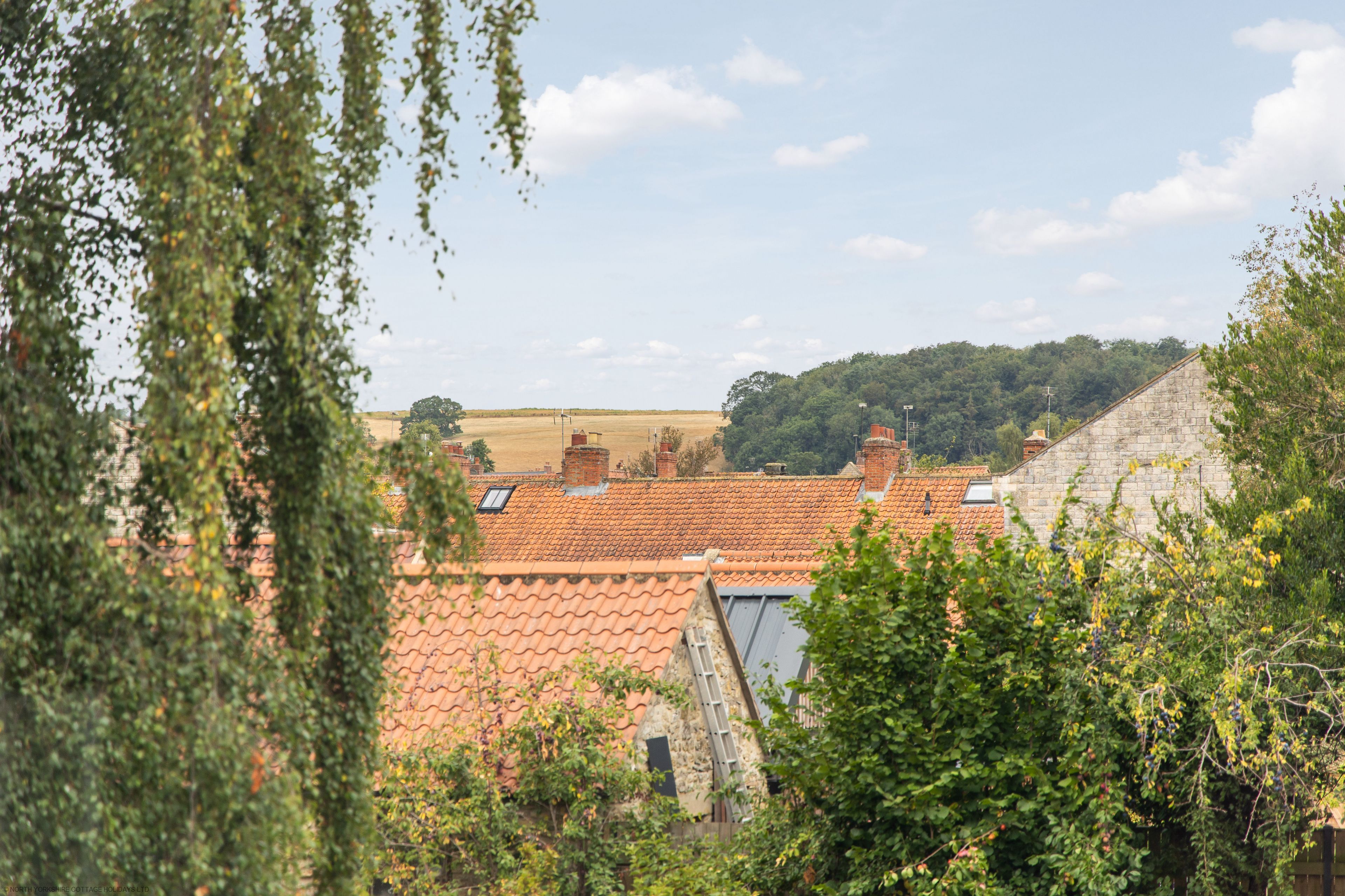 A rural landscape with traditional red-tiled roofs, stone buildings, and a clear sky.