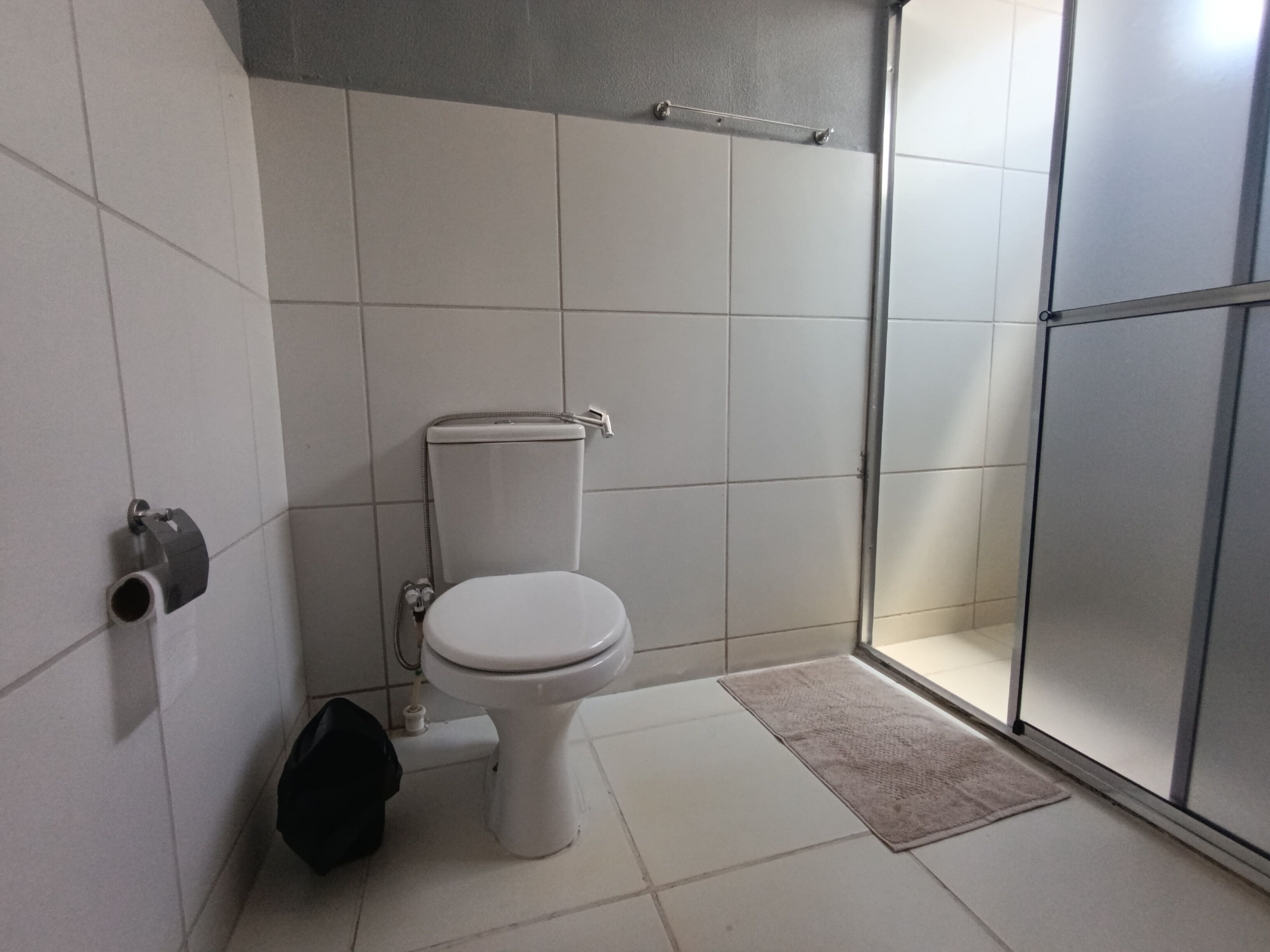Shower, bidet, towels, soap