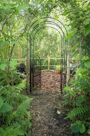 Un sentier de jardin agrémenté d’une arche en métal, le tout entouré d’un feuillage dense.