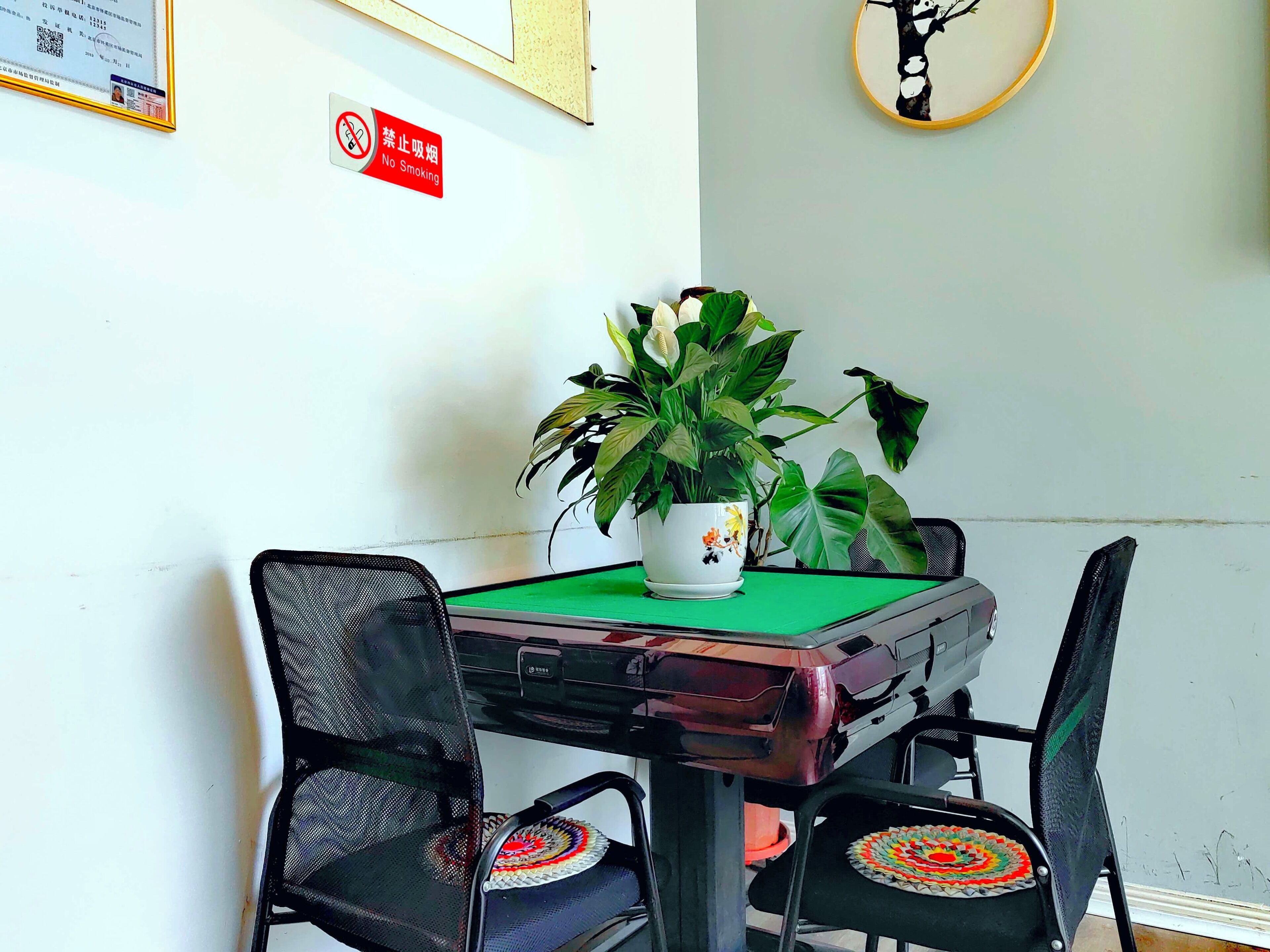 A table with a green tablecloth, two chairs with woven seats, and a potted plant on the table.