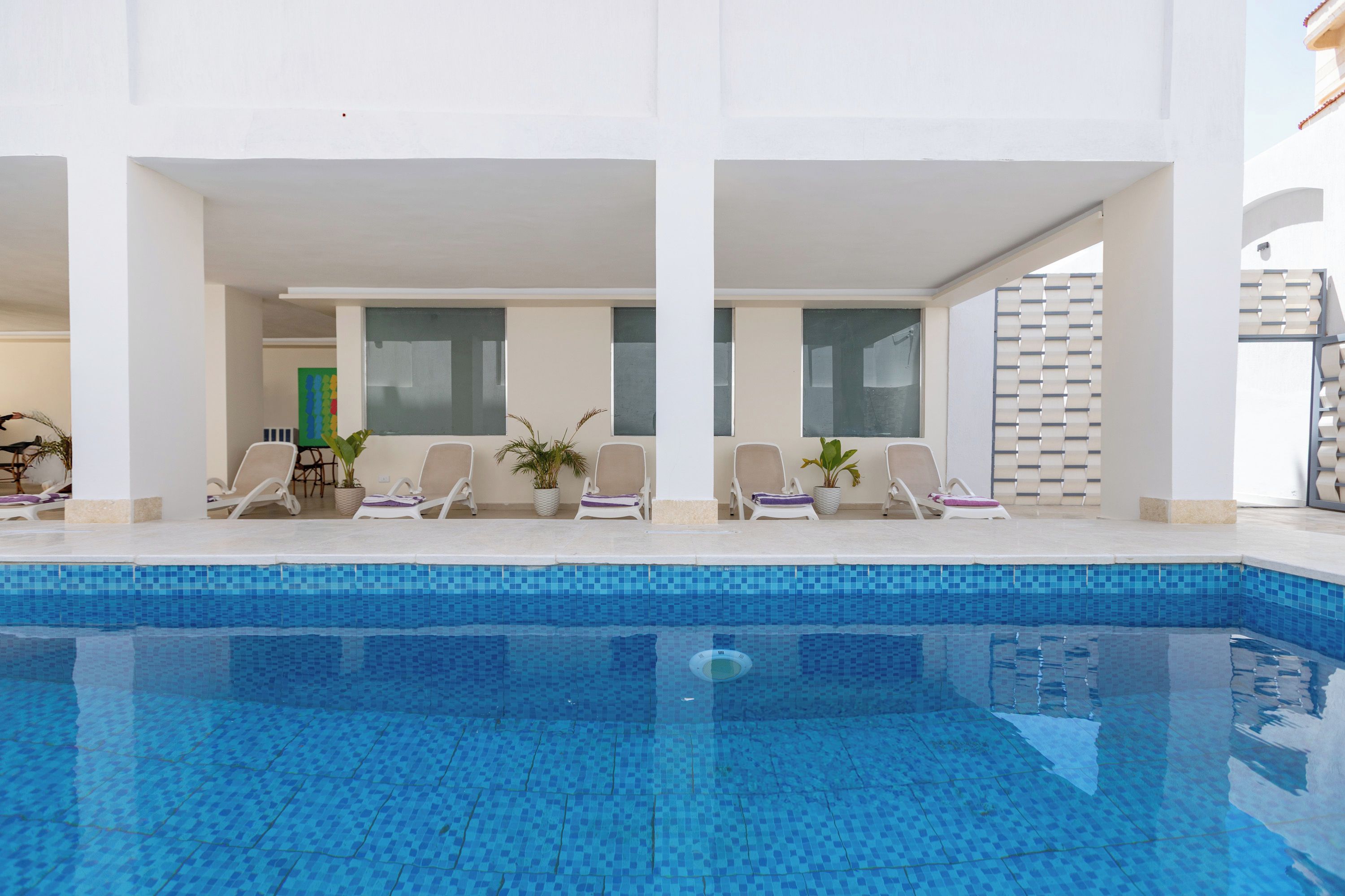 Una piscina con sillones de descanso y plantas en macetas.