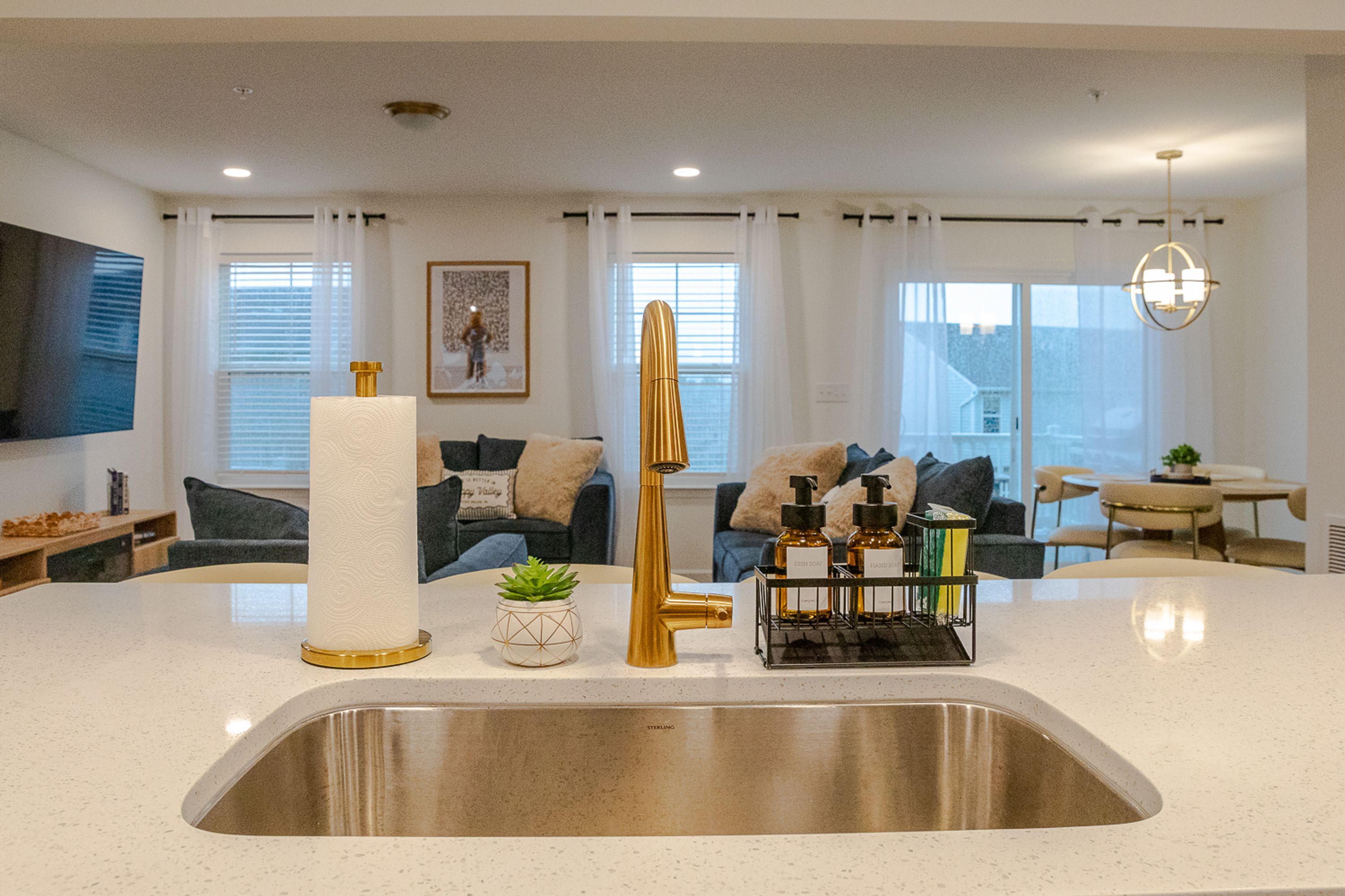 A modern kitchen with a stainless steel sink, a gold faucet, and a countertop with a white paper towel holder and a small plant.