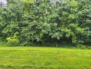 A grassy field with dense trees in the background. - Comfortable private retreat in the Ashburn, VA (Ashburn)