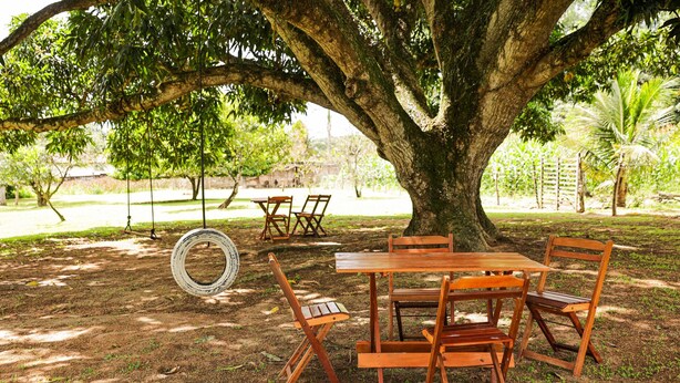 A wooden table and chairs set under a large tree in a park. - Rancho Alegre c/ Wi-fi, Ar Condicionado e Natureza (Itabaiana)