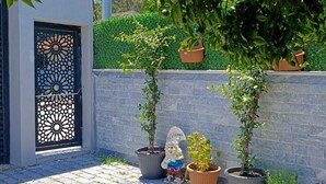 Un patio empedrado con plantas en macetas y una reja decorativa.