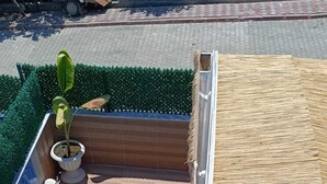 Una piscina en la azotea con superficie de agua azul cristalina, rodeada por una terraza de madera y una peque ña planta en maceta.