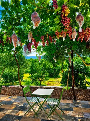 Ein Tisch und Stühle unter einer Weinlauben mit Blick auf einen Weinberg.