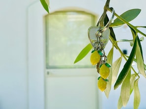 A keychain with a metal clip and a green leaf design.