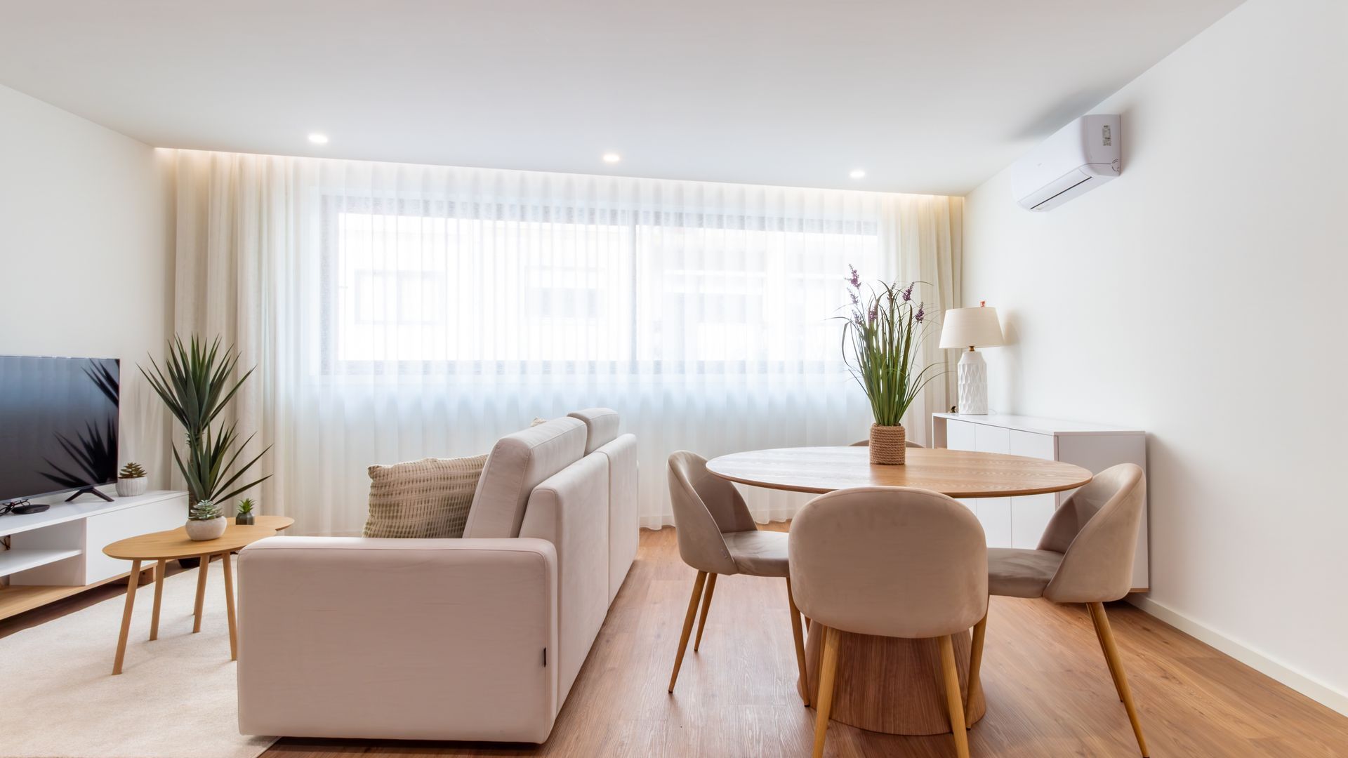 Un saló modern amb un sofà, una taula de dinar amb cadires, un televisor i una planta.