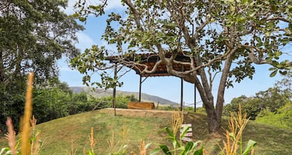 Rancho Alegre Natureza e Animais em Itabaiana