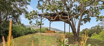 Rancho Alegre Natureza e Animais em Itabaiana