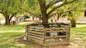 A wooden structure with a roof, surrounded by grass and trees. - Rancho Alegre c Wi-fi Ar Condicionado e Natureza (Itabaiana)