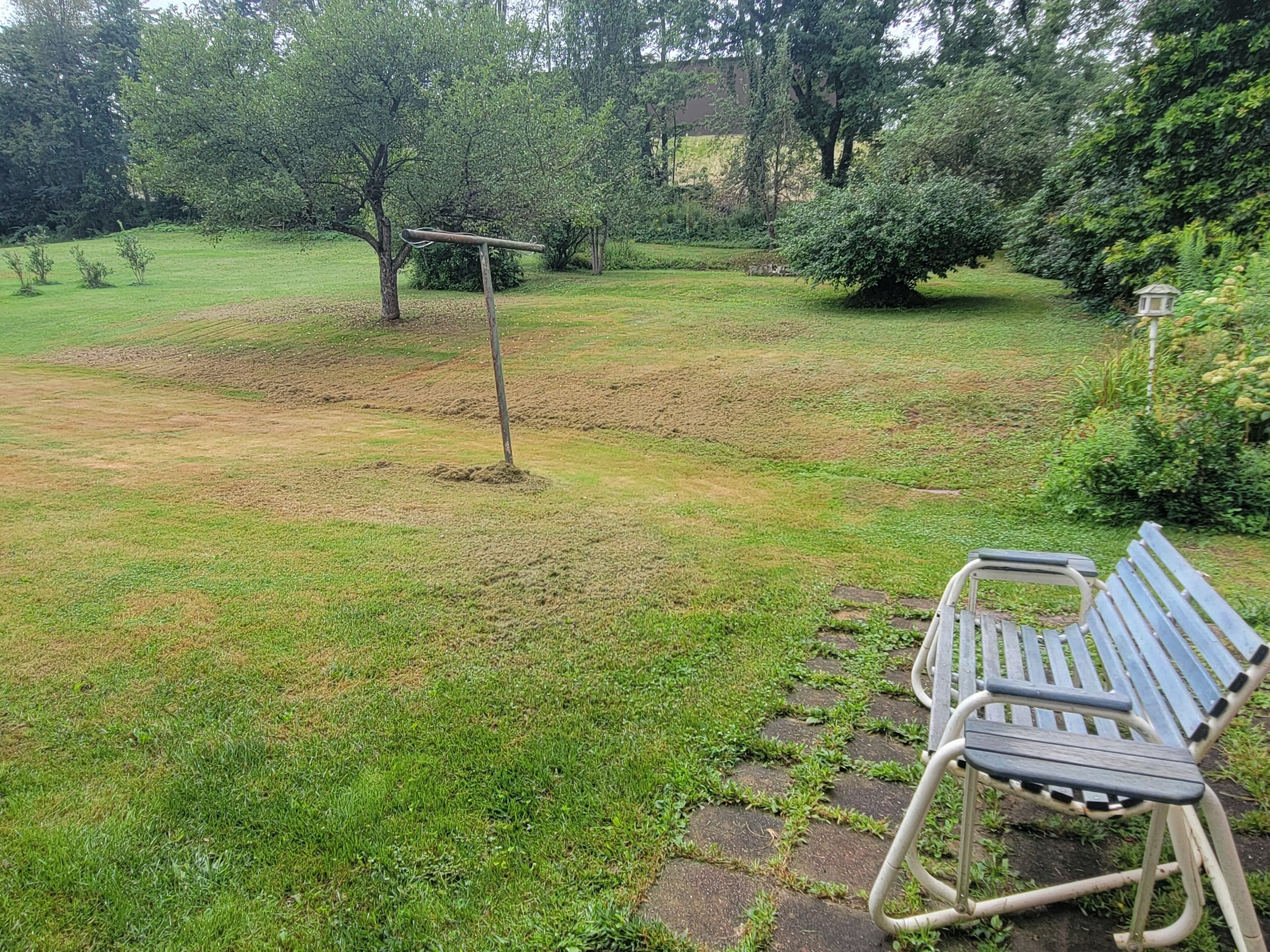 A grassy outdoor area with a metal bench and a wooden swing set.
