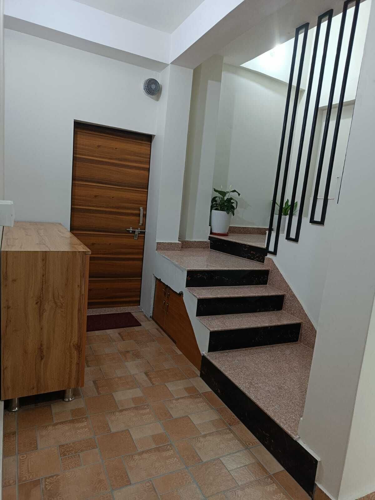 A staircase with a wooden door and a potted plant at the top.