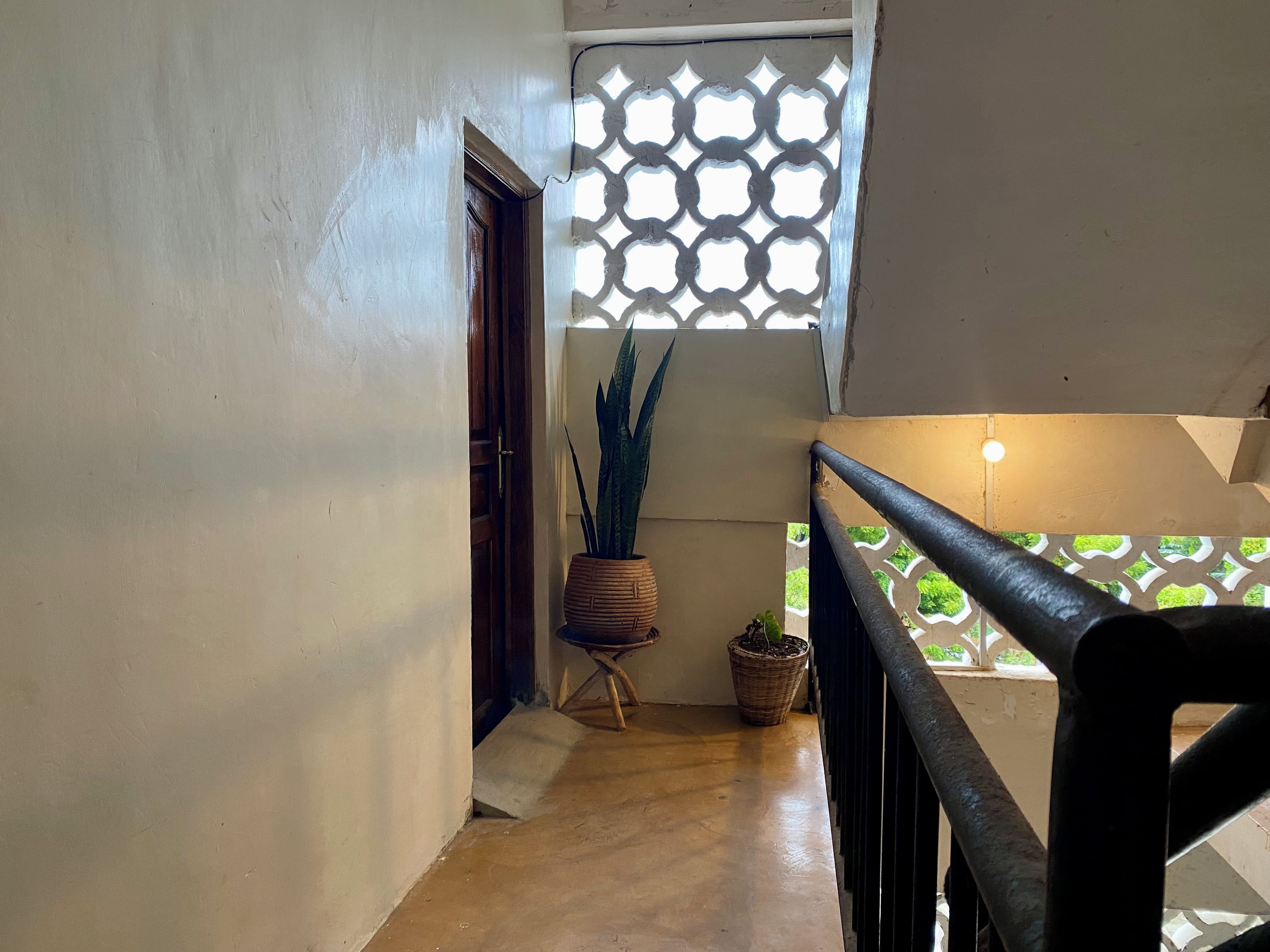 A staircase with a wooden handrail, a potted plant, and a patterned wall.