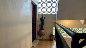 A staircase with a wooden handrail, a potted plant, and a patterned wall.