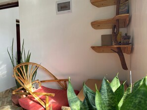 Une pièce avec une chaise en bois, un coussin rouge, une plante en pot et une étagère fixée au mur, où sont rangés des livres.