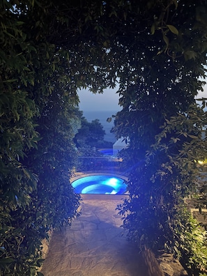 A pathway leading to a swimming pool surrounded by dense foliage.