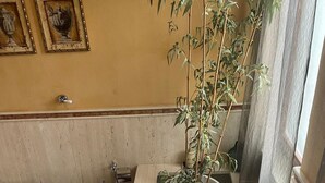 Een badkamer met een bad, twee toiletten, een wastafel en een potplant.