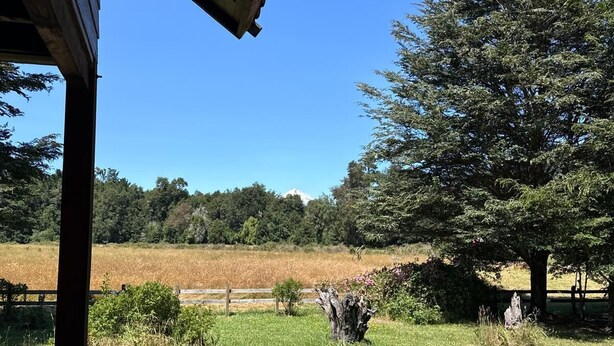 Ein überdachter Außenbereich mit Blick auf ein Wiesenfeld und Bäume.