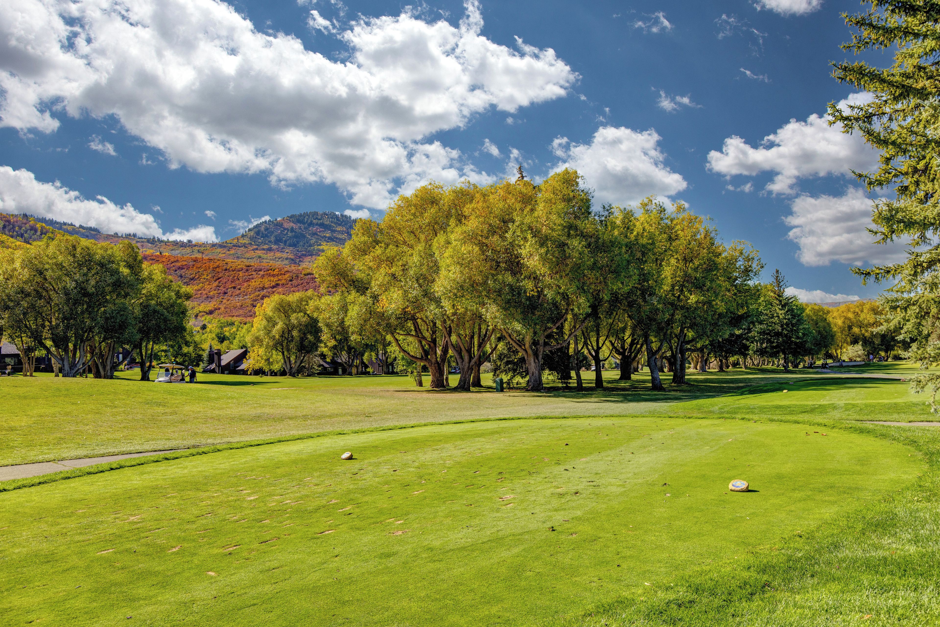 Campo de golf con cielo despejado, árboles y una montaña distante.