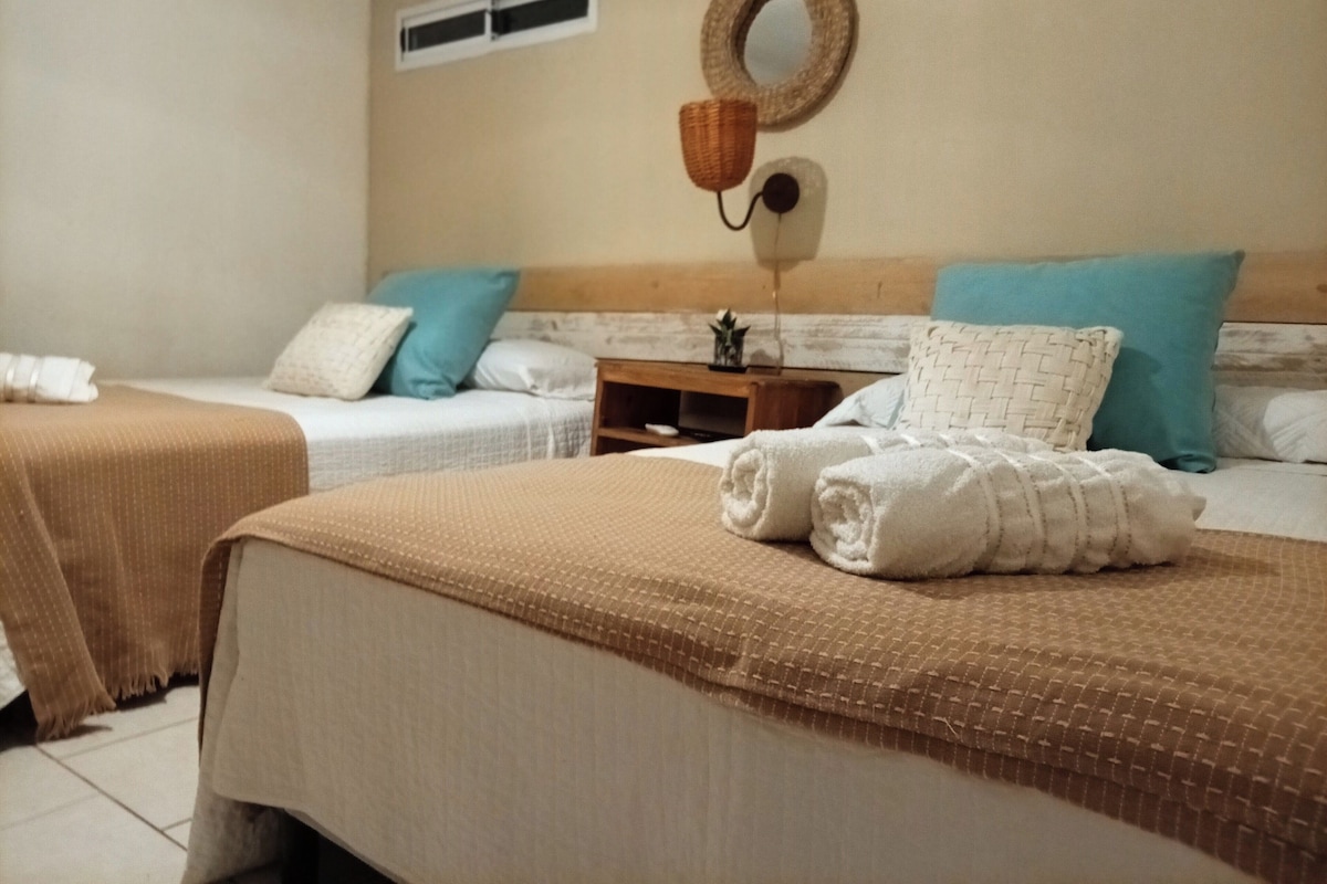 Habitación de hotel con dos camas, una mesita de noche, un espejo montado en la pared y una planta pequeña.