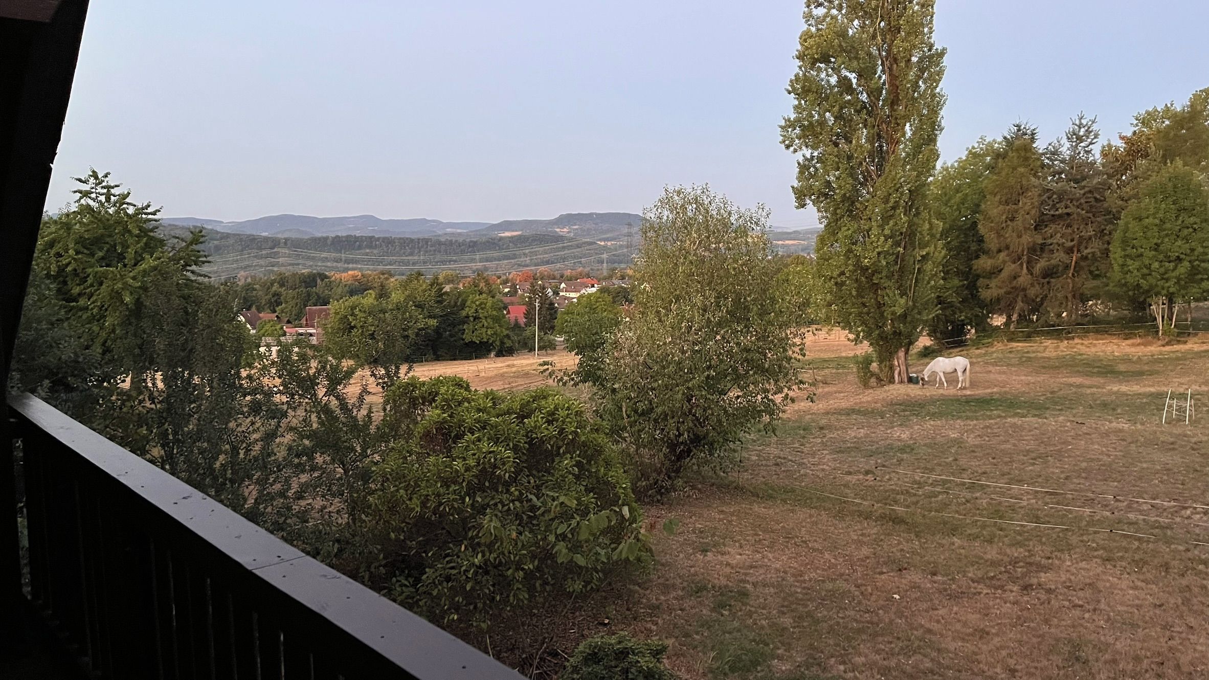 A view from a balcony overlooking a grassy field with a horse grazing, trees, and distant hills.