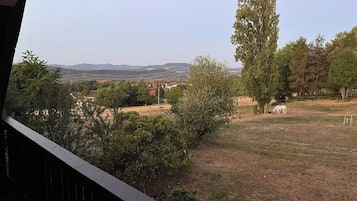 A view from a balcony overlooking a grassy field with a horse grazing, trees, and distant hills.