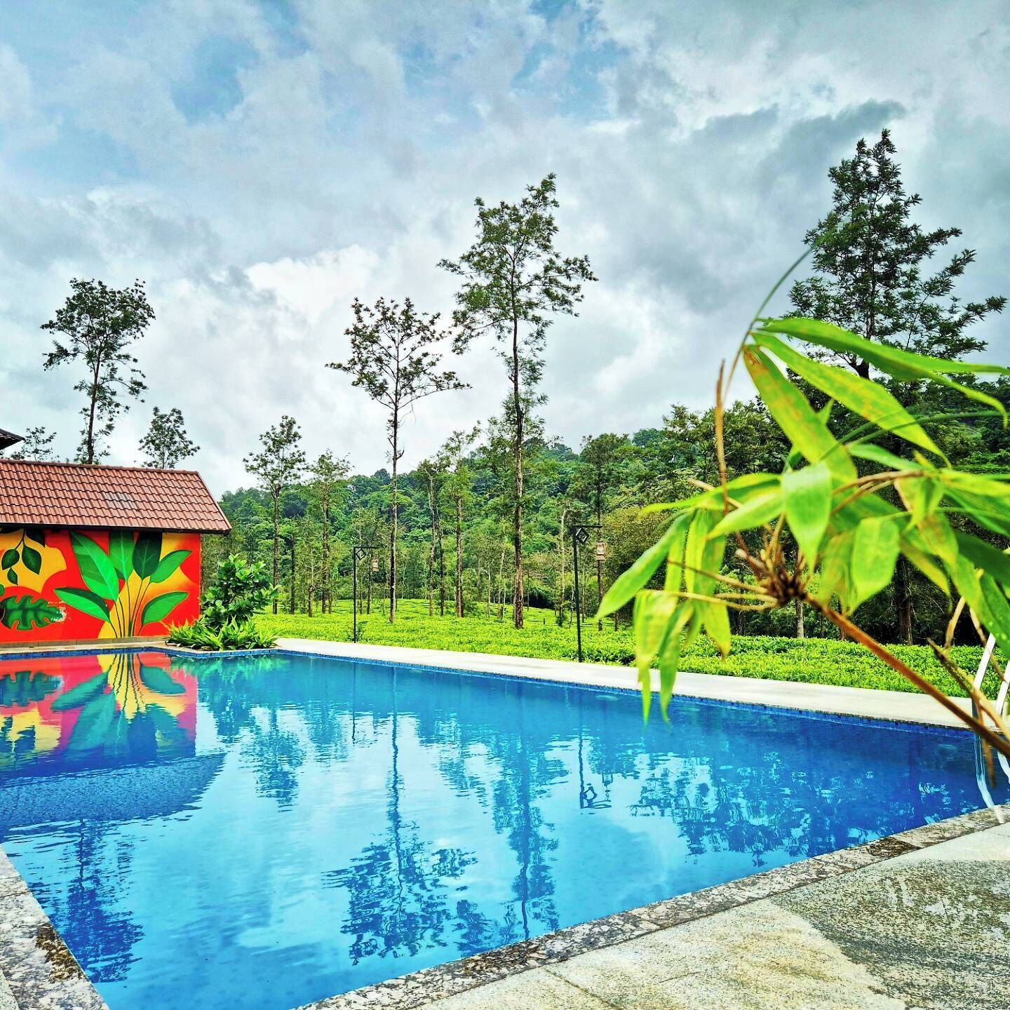 A swimming pool with clear blue water, surrounded by lush greenery and trees.