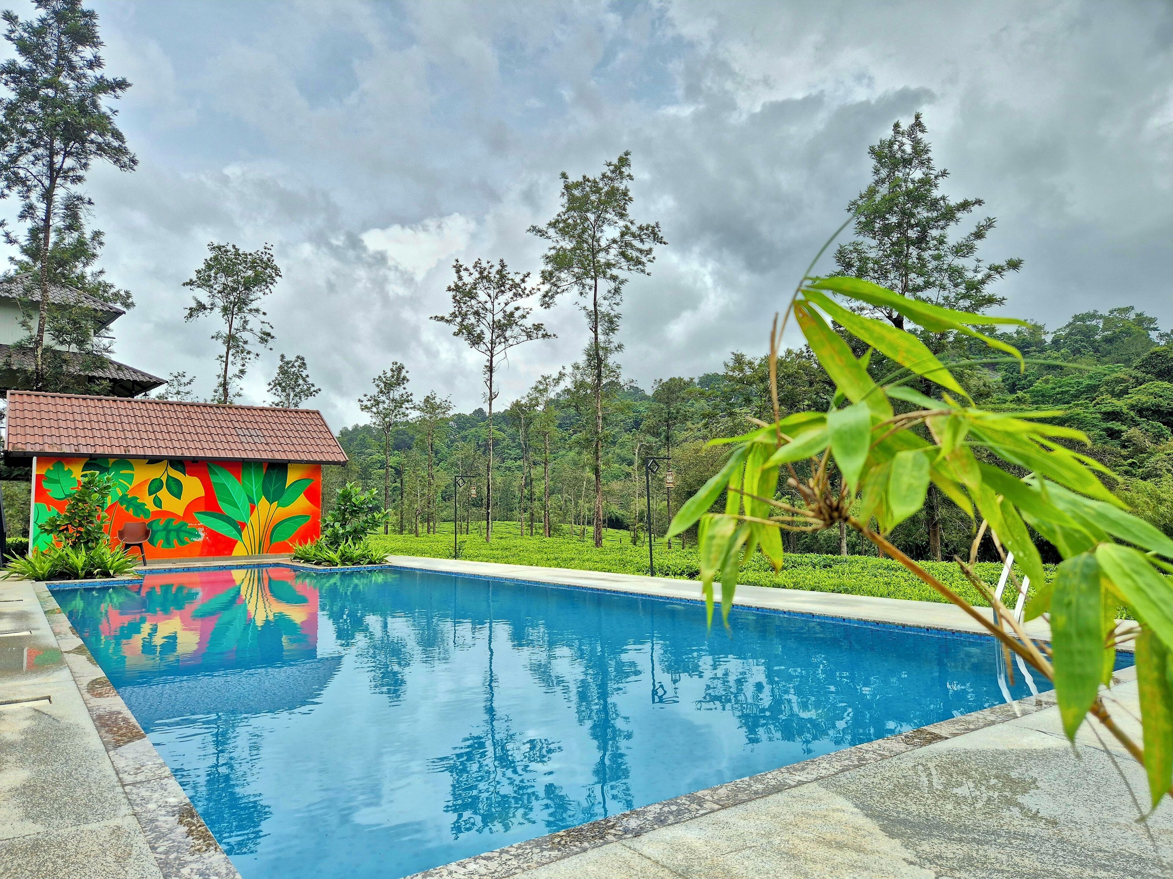 A swimming pool with a tiled edge, surrounded by greenery and a building with a colorful mural.