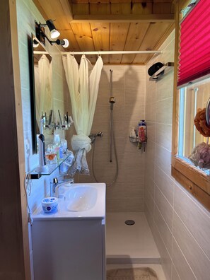 A bathroom with a shower, a sink, and a mirror. - Vrbo Property (Mont-Noble)