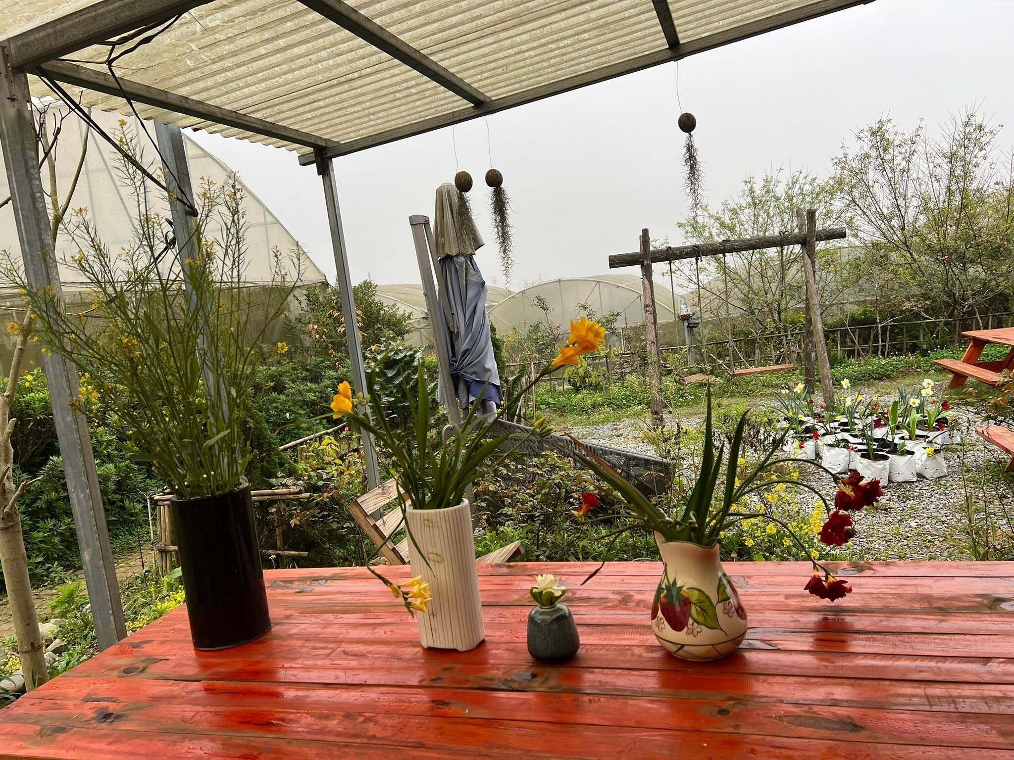 Un espacio al aire libre cubierto con una mesa de madera, plantas en macetas y un invernadero al fondo.