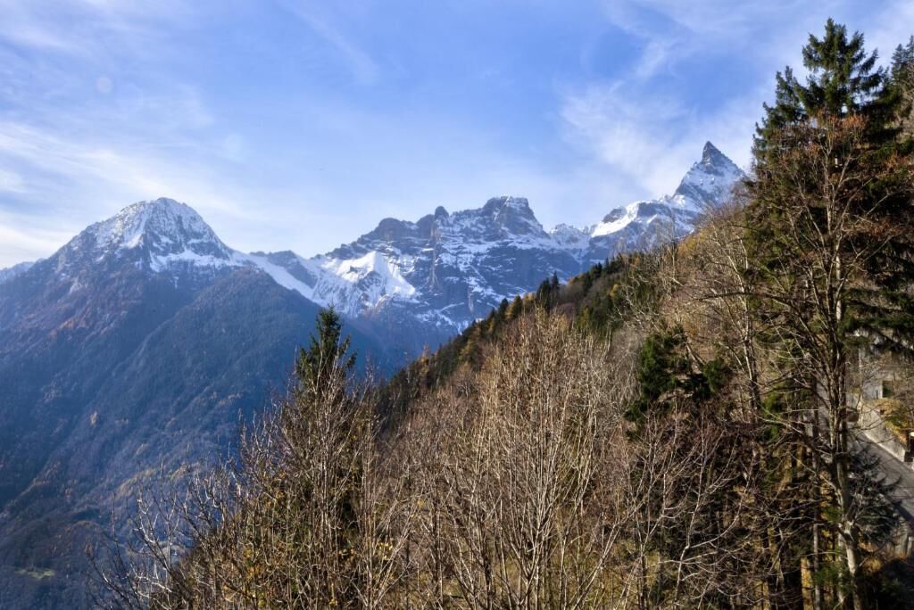 Un paisaje montañoso con picos nevados y un bosque denso.