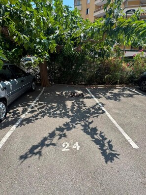 Ein Parkplatz mit Bäumen, die Schatten auf den Boden werfen, ein Auto auf der linken Seite und ein Gebäude im Hintergrund.
