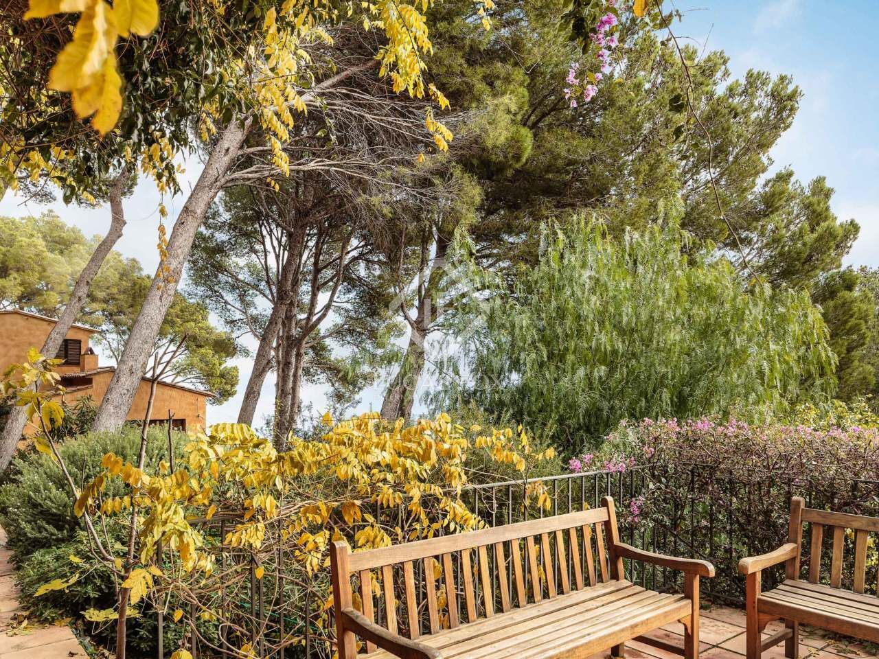 A wooden bench in a garden with trees and shrubs.