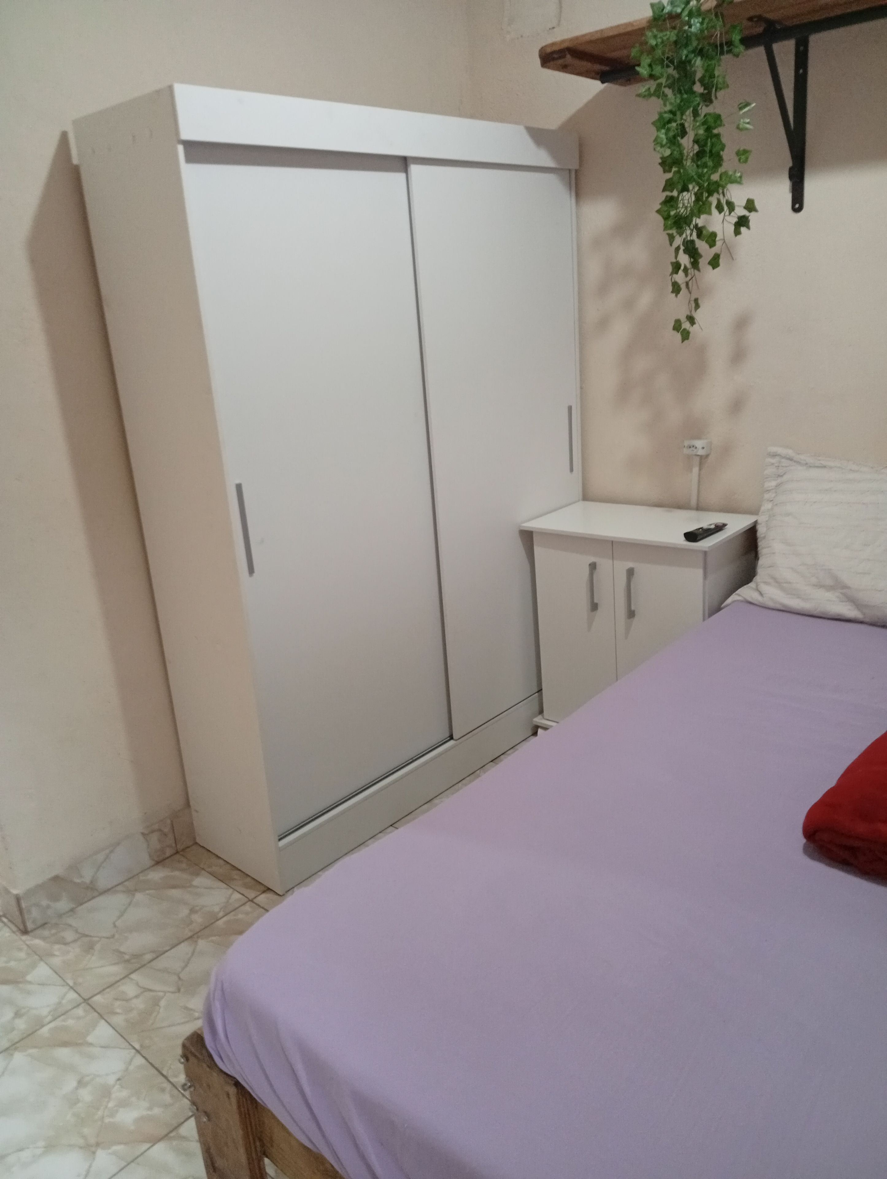 A bedroom with a bed, a wardrobe, a bedside table, and a hanging plant.