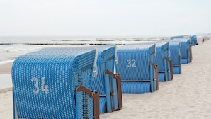 Reihen von Strandliegen mit Nummern, auf einem Sandstrand mit einem Pier im Hintergrund angeordnet.
