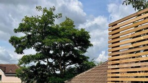 Área externa com mesas e cadeiras, um prato de comida e dois copos de um líquido transparente, provavelmente vinho, sob uma árvore.